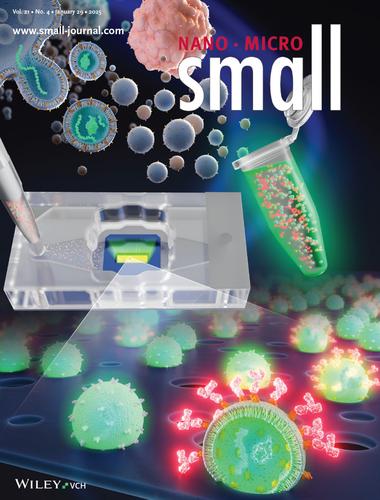 Rapid Assessment of Biomarkers on Single Extracellular Vesicles Using “Catch and Display” on Ultrathin Nanoporous Silicon Nitride Membranes (Small 4/2025)