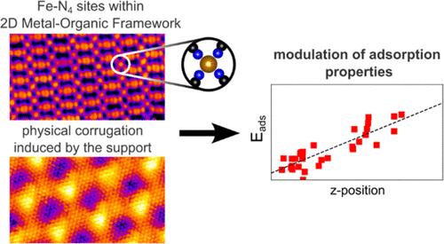 Identical Fe–N4 Sites with Different Reactivity: Elucidating the Effect of Support Curvature