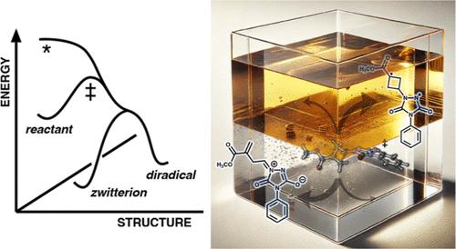 Synthetically Relevant Post-Transition State Bifurcation Leading to Diradical and Zwitterionic Intermediates: Controlling Nonstatistical Kinetic Selectivity through Solvent Effects