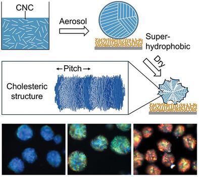 Spray-Assisted Fabrication of Cellulose Photonic Pigments on Superhydrophobic Surfaces