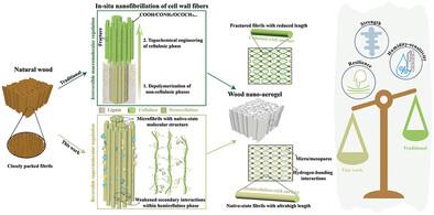 Ultrastrong, Highly Resilient, and Humidity-Sensitive Wood Nano-Aerogel Composed of Resembling Native-State Fibrils