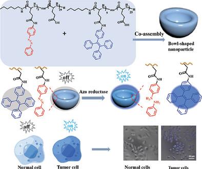 Triggered “On/off” Luminescent Polypeptide Bowl-Shaped Nanoparticles for Selective Lighting of Tumor Cells
