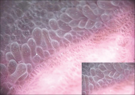 Abstract Image
