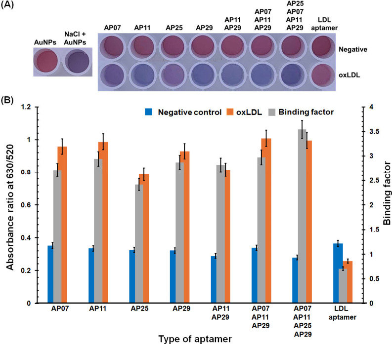 Reduced Uptake of Oxidized Low-Density Lipoprotein by Macrophages Using Multiple Aptamer Combinations.