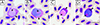 Abstract Image