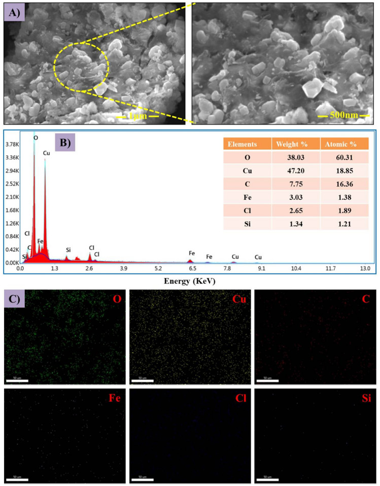 Synthesis of chitosan/PVA/copper oxide nanocomposite using Anacardium occidentale extract and evaluating its antioxidant, antibacterial, anti-inflammatory and cytotoxic activities.
