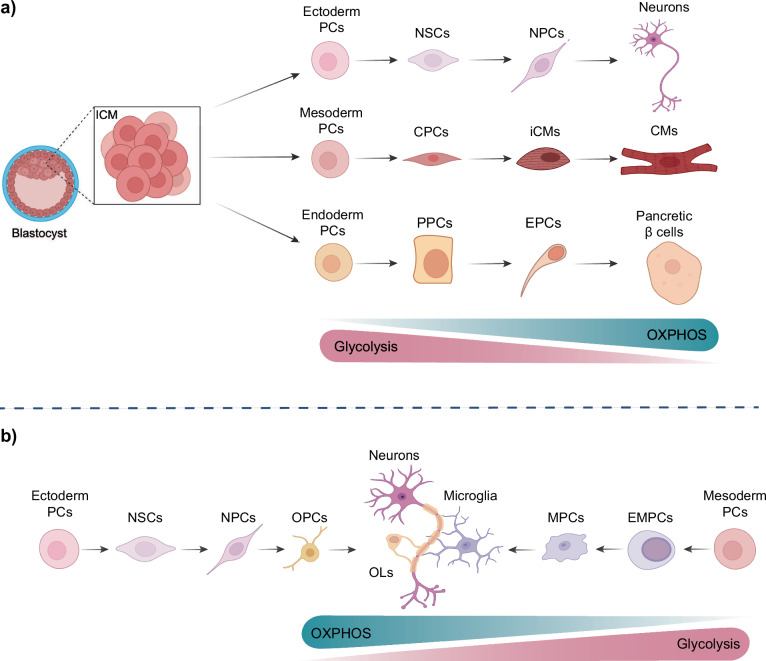 RNA-binding proteins as versatile metabolic regulators.