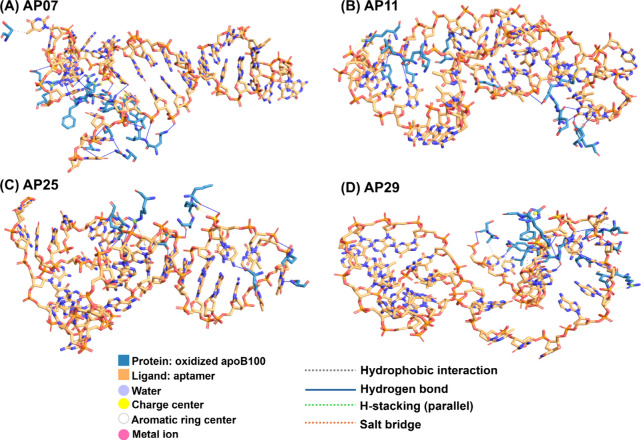 Reduced Uptake of Oxidized Low-Density Lipoprotein by Macrophages Using Multiple Aptamer Combinations.