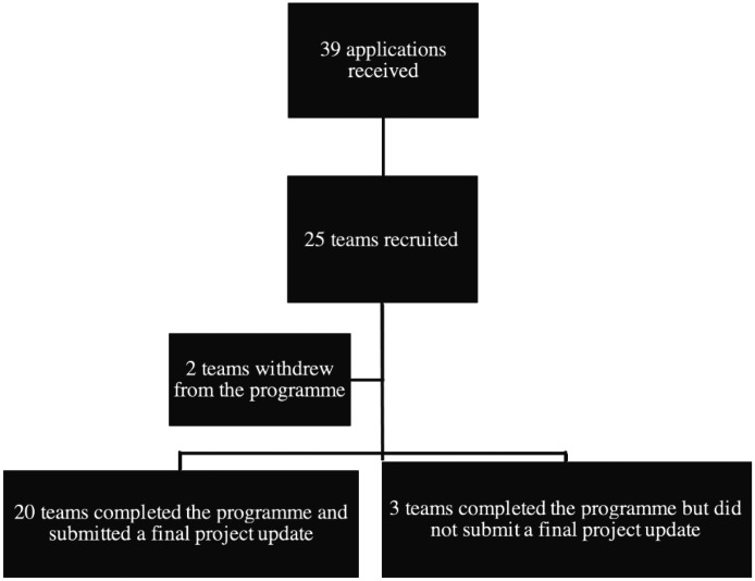 The feasibility of a novel national quality improvement programme for tobacco dependency treatment pathways in acute UK hospitals.