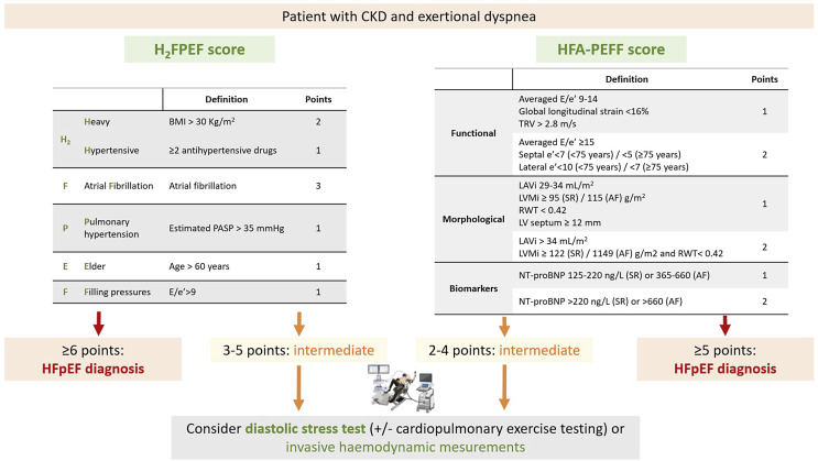 Cardiorenal Disease and Heart Failure with Preserved Ejection Fraction: Two Sides of the Same Coin.