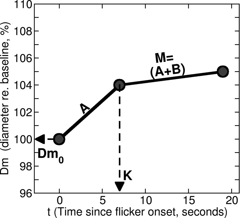 Characterising the Time Course of the Dilatory Response of Healthy Retinal Arteries during Flicker-Light Provocation.