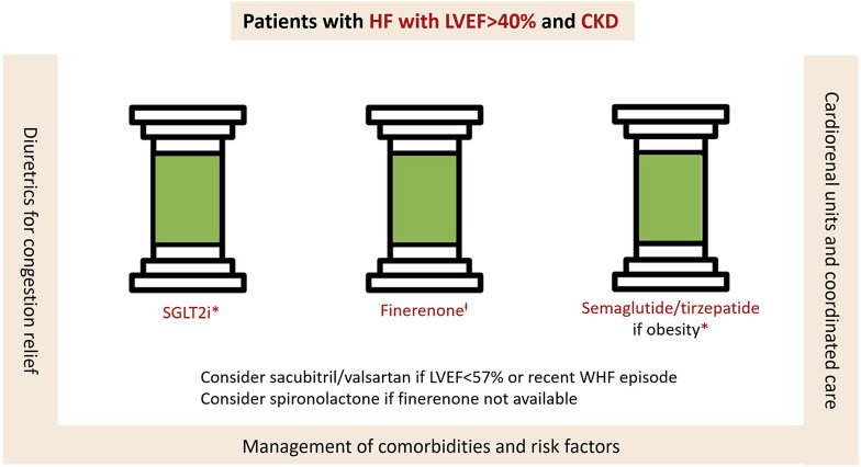 Cardiorenal Disease and Heart Failure with Preserved Ejection Fraction: Two Sides of the Same Coin.