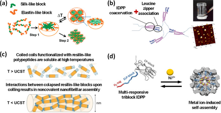 Spontaneous Self-Organized Order Emerging From Intrinsically Disordered Protein Polymers.