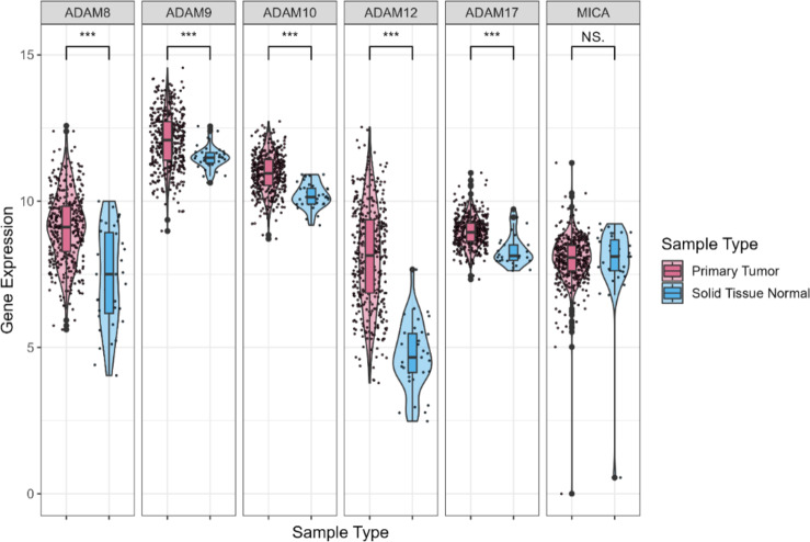 A disintegrin and metallopeptidase domain (ADAM) 12, ADAM 17 mRNA and ADAM10 protein hold potential as biomarkers for detection of early gastric cancer.