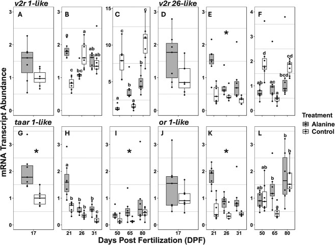 Correction to: Effect of L-alanine exposure during early life stage on olfactory development, growth and survival in age-0 lake sturgeon.