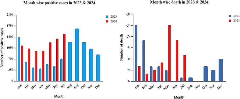Mpox (monkeypox): a comprehensive updated of current epidemic evidence