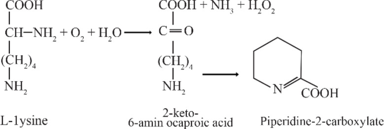 The Induction of L-lysine-α-Oxidase from <i>Trichoderma Harzianum</i> Rifai by Metabolic Products of <i>Brevibacterium</i> sp. and the Improvement of Its Isolation and Purification Techniques.