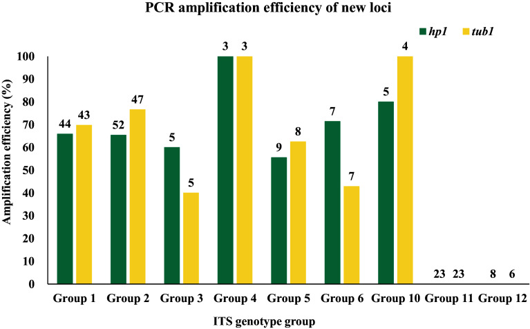Identification of two new genetic loci for high-resolution genotyping of Enterocytozoon bieneusi.