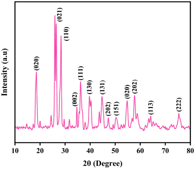 Synthesis of chitosan/PVA/copper oxide nanocomposite using Anacardium occidentale extract and evaluating its antioxidant, antibacterial, anti-inflammatory and cytotoxic activities.