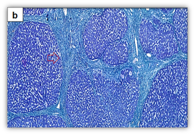 Abstract Image