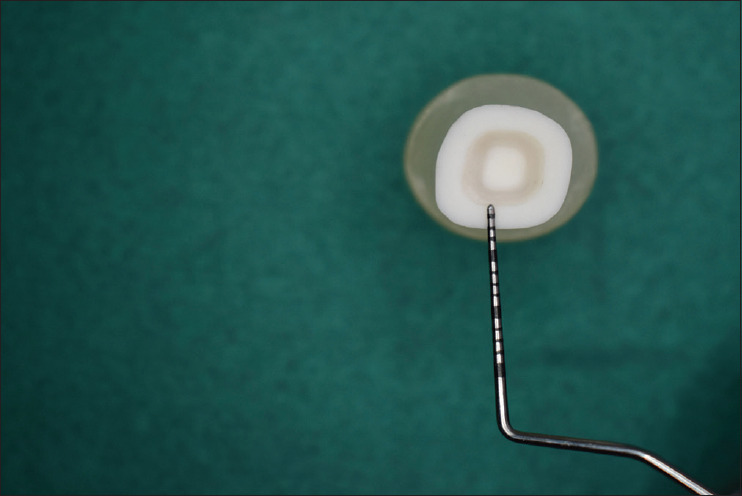 Abstract Image