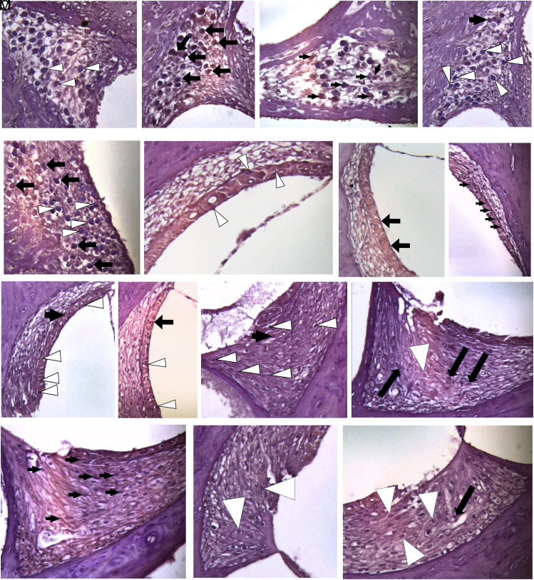 Abstract Image