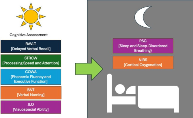The impact of brain-systemic oxygenation coupling in sleep-disordered breathing on cognitive function in elderly.
