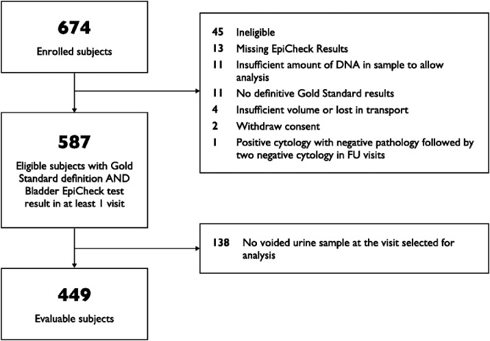 North American study and meta-analysis evaluating performance of Bladder EpiCheck<sup>®</sup>, a FDA cleared test, in non-muscle invasive bladder cancer recurrence.