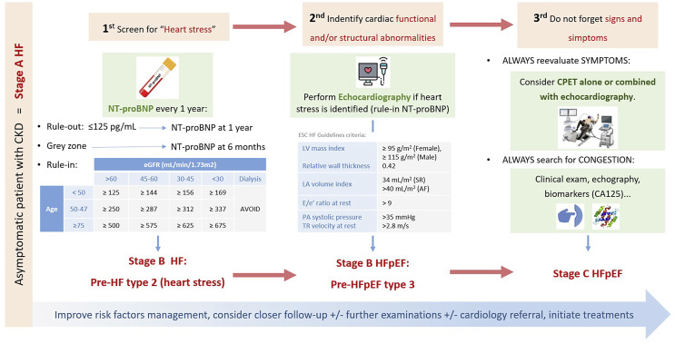 Cardiorenal Disease and Heart Failure with Preserved Ejection Fraction: Two Sides of the Same Coin.