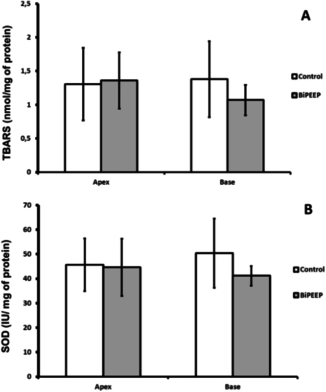 Oscillatory ventilation enhances oxygenation and reduces inflammation in an animal model of acute respiratory distress syndrome: an experimental study