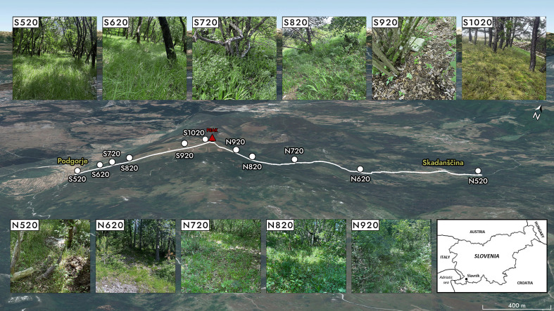 Spatial distribution of Ixodes ricinus in forest habitats: a comparative study of the northern and southern slopes of Mount Slavnik, Slovenia.