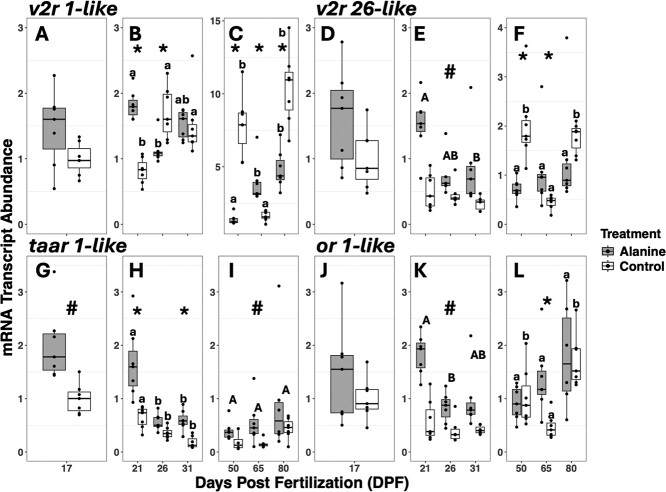 Correction to: Effect of L-alanine exposure during early life stage on olfactory development, growth and survival in age-0 lake sturgeon.