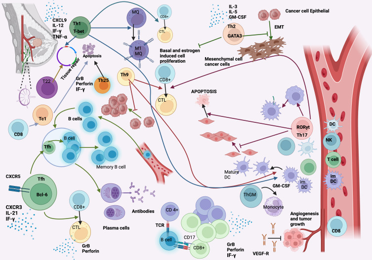 From Pioneering Discoveries to Innovative Therapies: A Journey Through the History and Advancements of Nanoparticles in Breast Cancer Treatment.