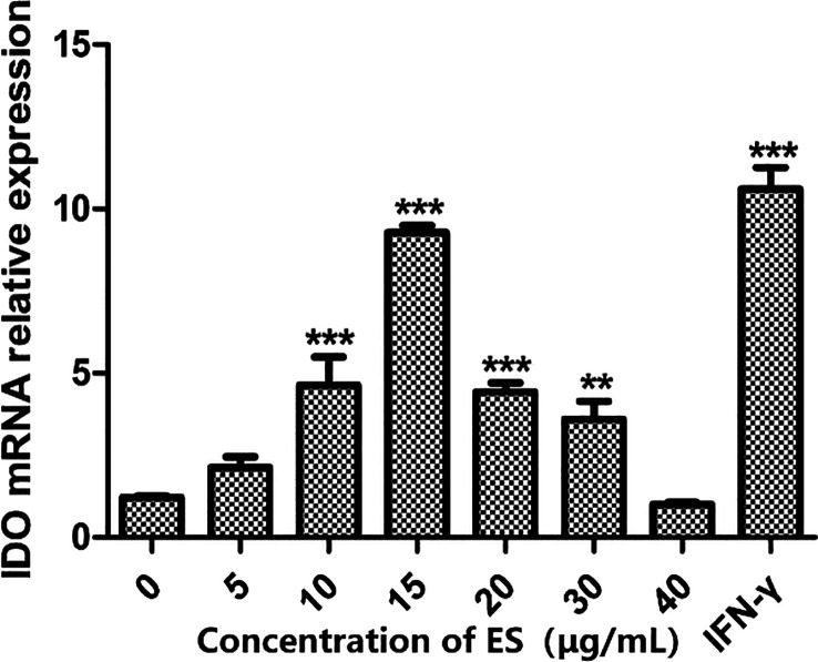 Effects of Trichinella spiralis excretory-secretory antigens on expression of indoleamine 2, 3-dioxygenase on dendritic cells in vitro.