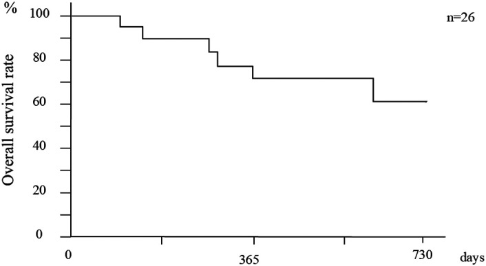Outcome and Prognosis of Invasive Treatment for Hepatocellular Carcinoma in Very Elderly Patients Over 90 Years Old.