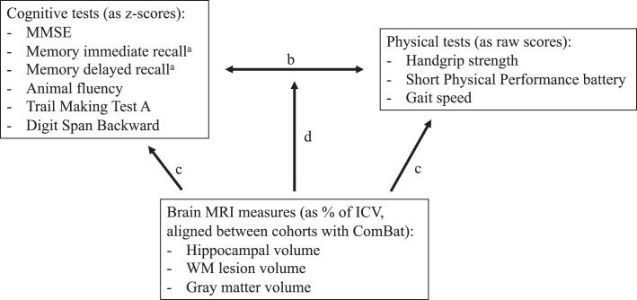 The Temporal Relation of Physical Function with Cognition and the Influence of Brain Health in the Oldest-Old.