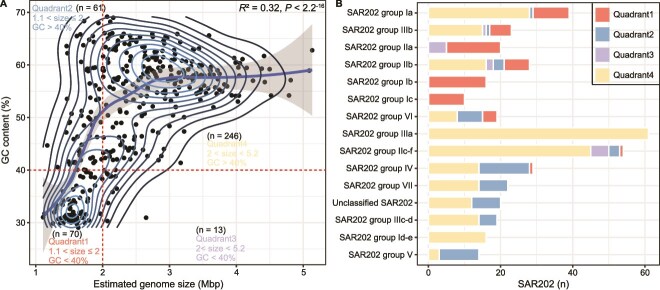 Genome-streamlined SAR202 bacteria are widely present and active in the euphotic ocean.