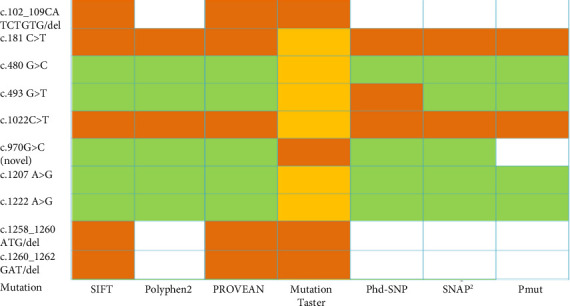 Insights Into Genetic Variations of the <i>OCT1</i> Gene in Metformin Poor Responders Among Bangladeshi Type 2 Diabetic Patients.