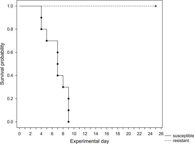 Widespread anticoagulant resistance in house mice (Mus musculus musculus) linked to the Tyr139Phe mutation in the Czech Republic.