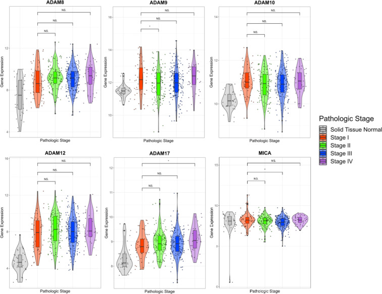 A disintegrin and metallopeptidase domain (ADAM) 12, ADAM 17 mRNA and ADAM10 protein hold potential as biomarkers for detection of early gastric cancer.