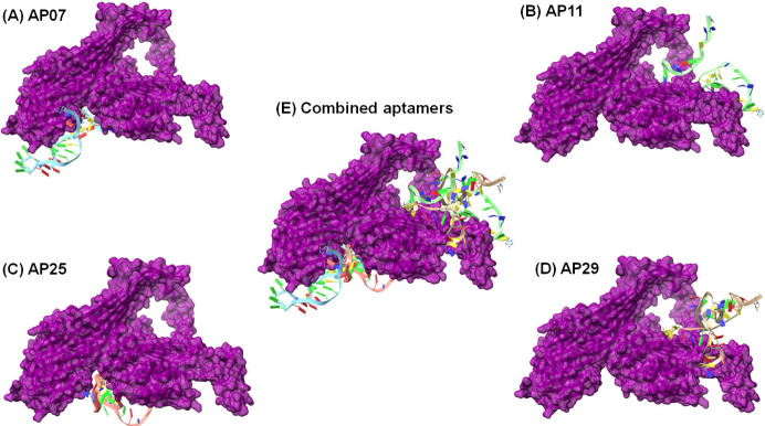 Reduced Uptake of Oxidized Low-Density Lipoprotein by Macrophages Using Multiple Aptamer Combinations.