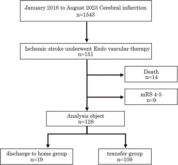Association of Stroke Impairment Assessment Set and Dysphagia in the 1st Week after Acute Ischemic Stroke with Early Discharge to Home Following Endovascular Therapy: A Retrospective Observational Study.
