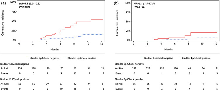 North American study and meta-analysis evaluating performance of Bladder EpiCheck<sup>®</sup>, a FDA cleared test, in non-muscle invasive bladder cancer recurrence.