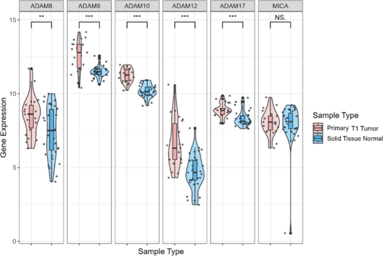 A disintegrin and metallopeptidase domain (ADAM) 12, ADAM 17 mRNA and ADAM10 protein hold potential as biomarkers for detection of early gastric cancer.