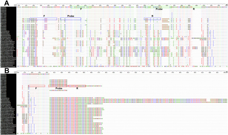 A one-step multiplex qPCR assay for simultaneous identification and quantification of Leishmania martiniquensis and Leishmania orientalis/Leishmania chancei and detection and quantification of trypanosomatids in clinical samples.
