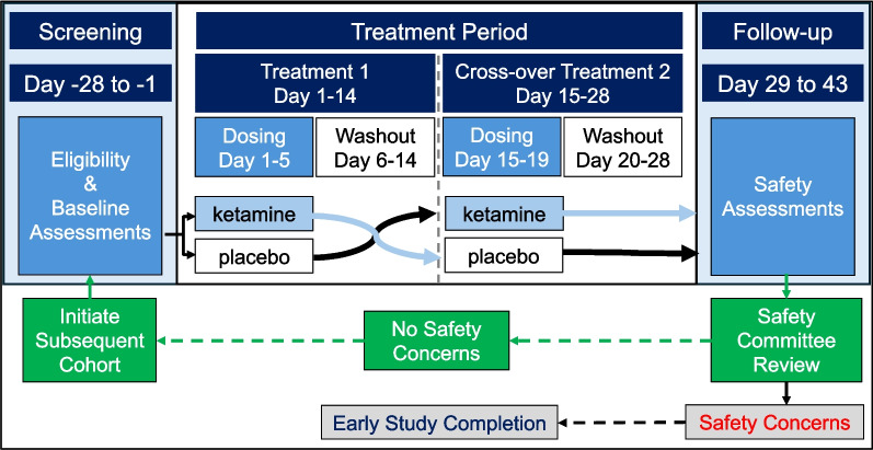A randomized, placebo-controlled, cross-over trial of ketamine in Rett syndrome.