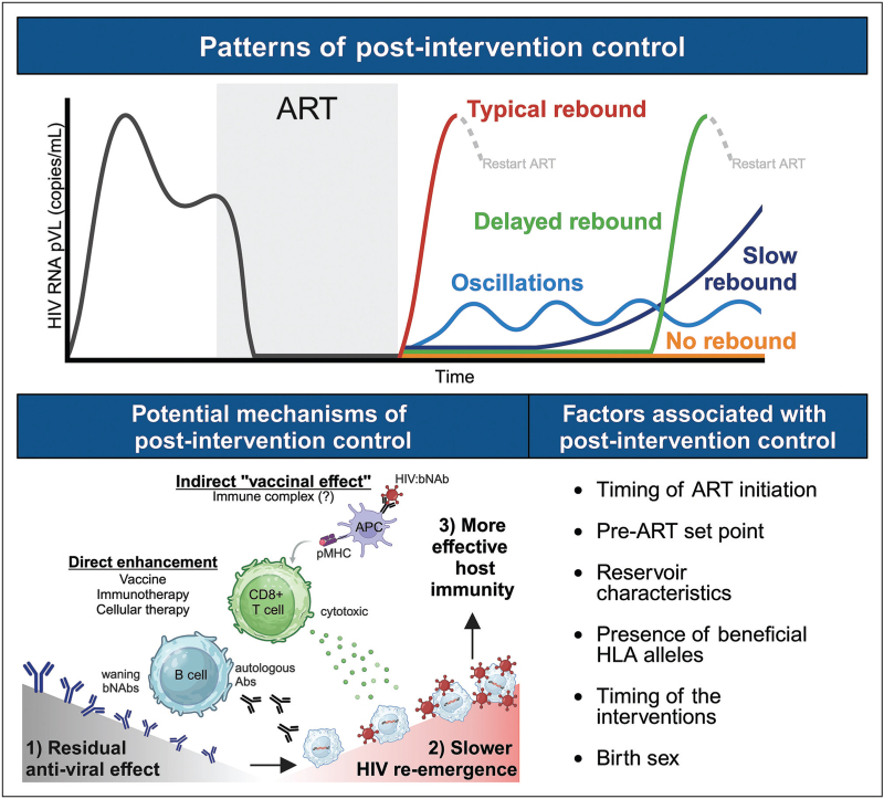 Post-intervention control in HIV immunotherapy trials.