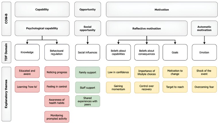 Advancing translational research in digital cardiac rehabilitation: The preparation phase of the Multiphase Optimization Strategy.