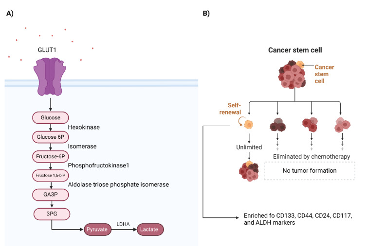 Competing endogenous RNA networks in ovarian cancer: from bench to bedside.