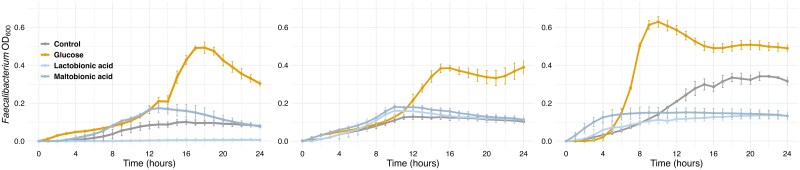 Targeted prebiotic application of gluconic acid-containing oligosaccharides promotes Faecalibacterium growth through microbial cross-feeding networks.
